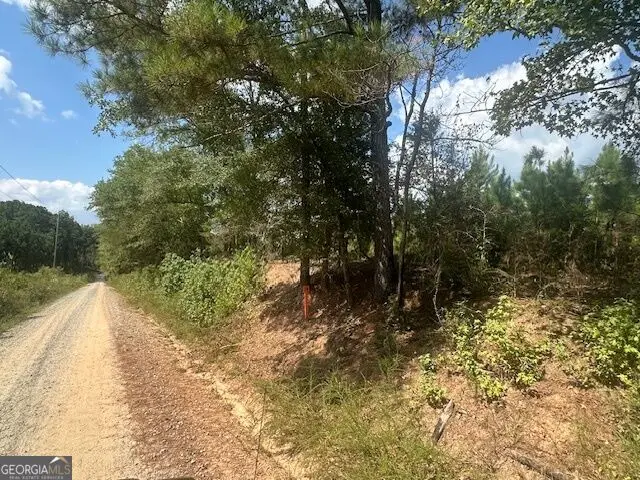 0 Cook Road #TRACT 14, Monticello, GA 31064 - #3