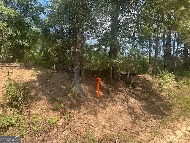 0 Cook Road #TRACT 15, Monticello, GA 31064 - #1