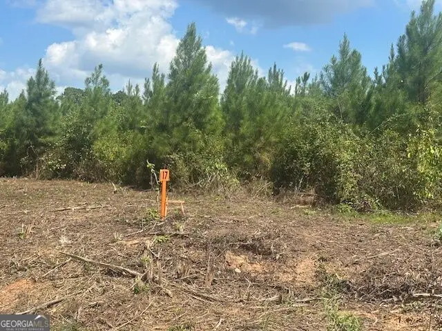 0 Millen Road #TRACT 17, Monticello, GA 31064 - #2