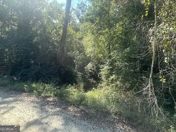 0 Millen Road #TRACT 21, Monticello, GA 31064