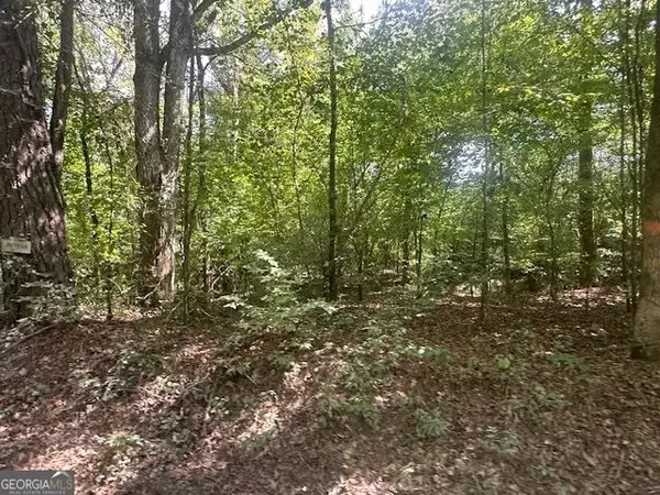 0 Millen Road #TRACT 22, Monticello, GA 31064