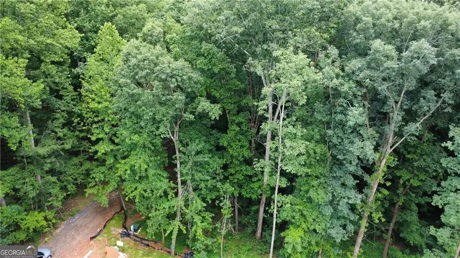 4230 Belvedere Drive, Gainesville, GA 30506 - #3