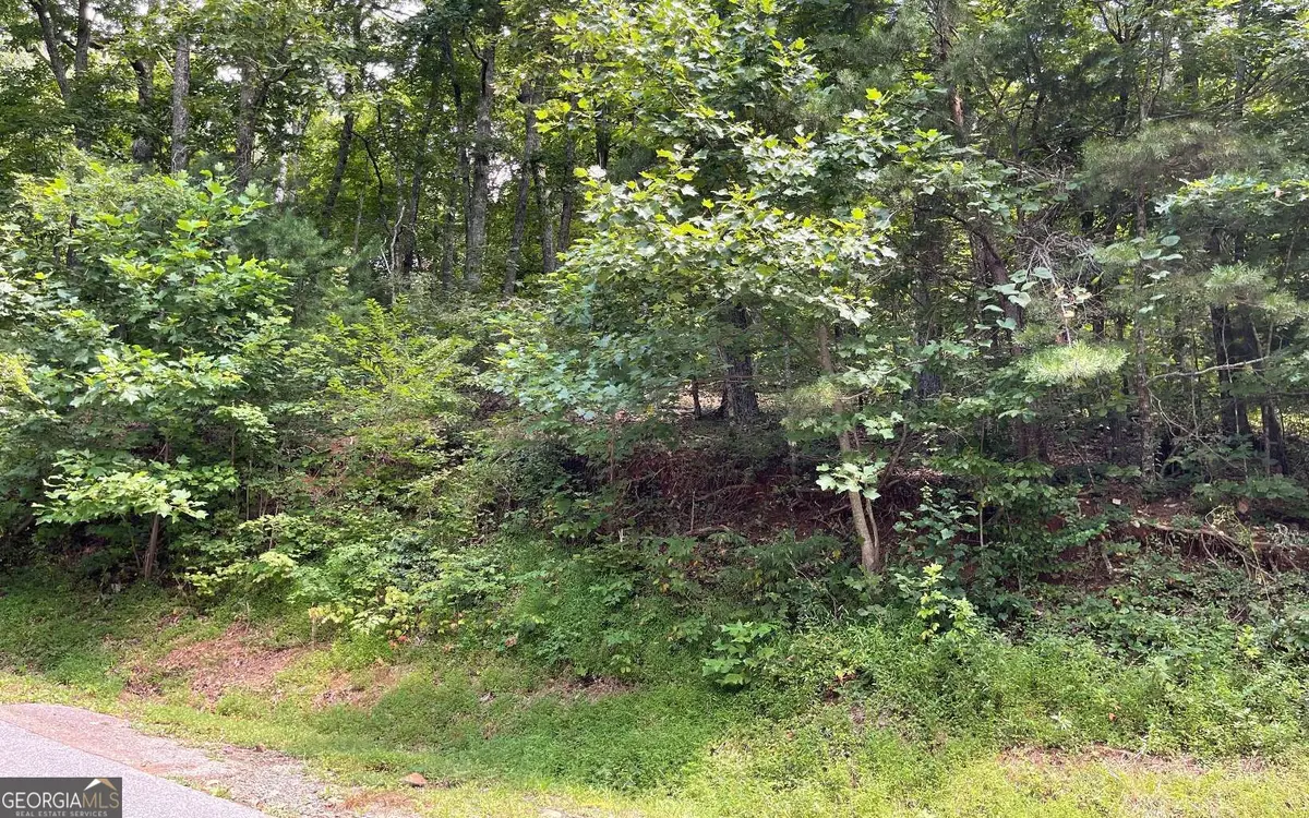 #10 Mountain Drive North, Hiawassee, GA 30546 - #1