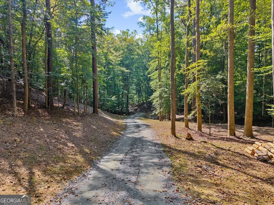 353 Jesse Martin Trail, Canton, GA 30115 - #2