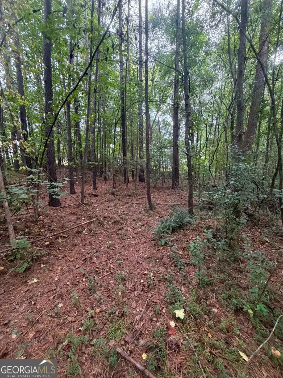 822 Tabby Lane, Athens, GA 30605 - #1