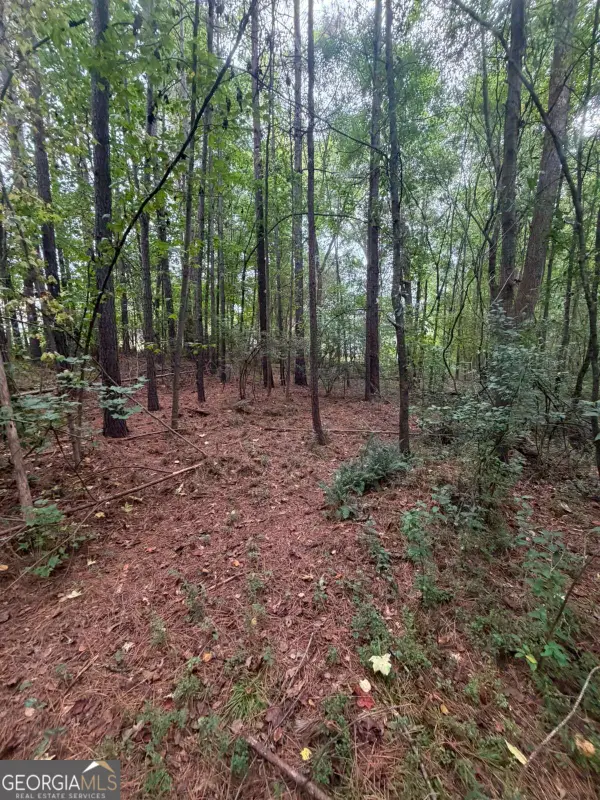 822 Tabby Lane, Athens, GA 30605