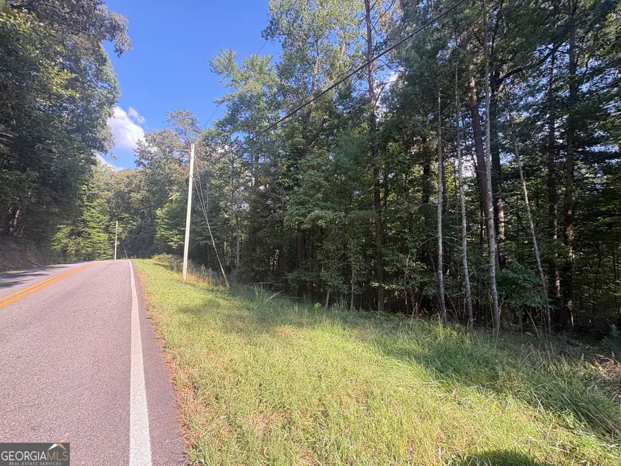 000 Macedonia Church Road, Blue Ridge, GA 30513 - #2