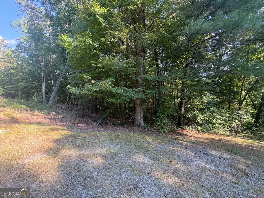 000 Macedonia Church Road, Blue Ridge, GA 30513 - #3