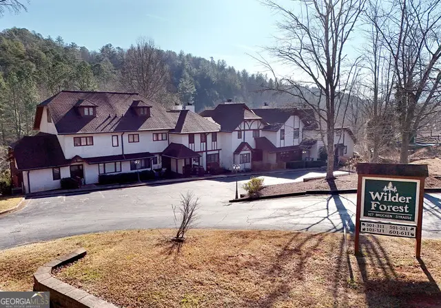 327 Brucken Strasse # 305, Helen, GA 30545 - #1