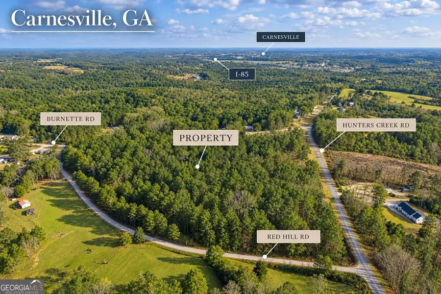 2122 Hunters Creek Road, Carnesville, GA 30521 - #2