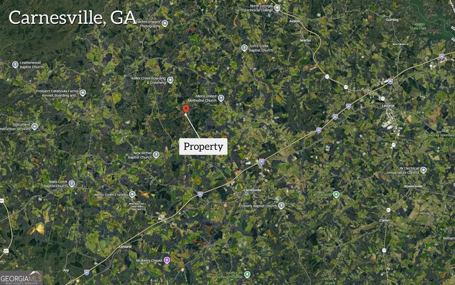2122 Hunters Creek Road, Carnesville, GA 30521 - #3