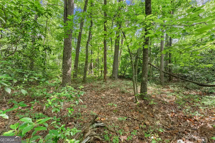 0 Sweetheart Lane, Sautee Nacoochee, GA 30571 - #3