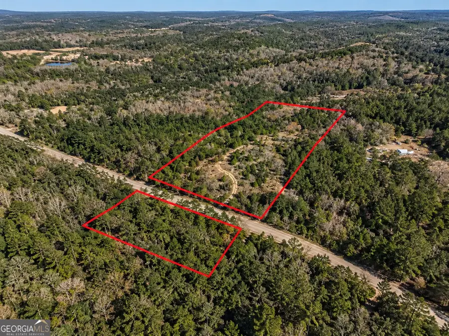 7.86 ACRES Gun Club Rd, Box Springs, GA 31801 - #3