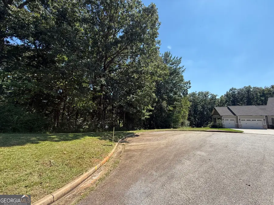0 Mountain Vista, Clarkesville, GA 30523 - #3