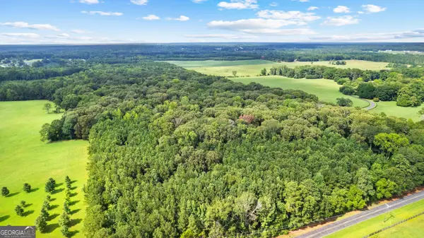 0 Sid Hunter Road #LOT 1, Sharpsburg, GA 30277