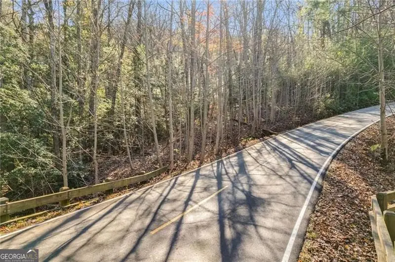 5574 Red Fox Drive, Big Canoe, GA 30143 - #2