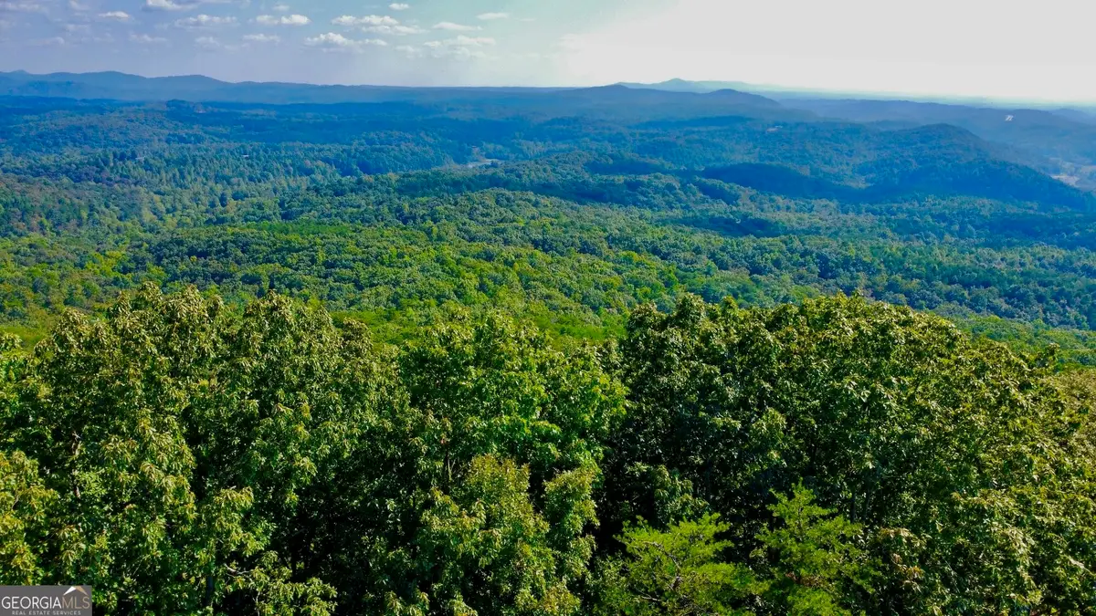 T7 Talona Mountain Road, Ellijay, GA 30536 - #1