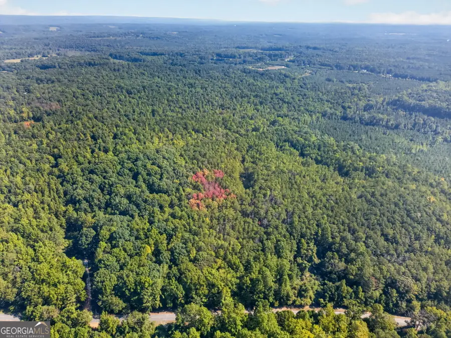 000 County Road 158, Roanoke, AL 36274 - #2