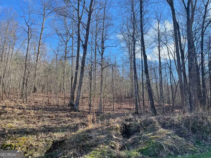0 Rockfence Road, Adairsville, GA 30103 - #2