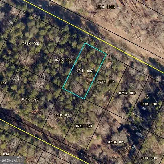 702 N Holcomb Drive, Martin, GA 30557 - #1