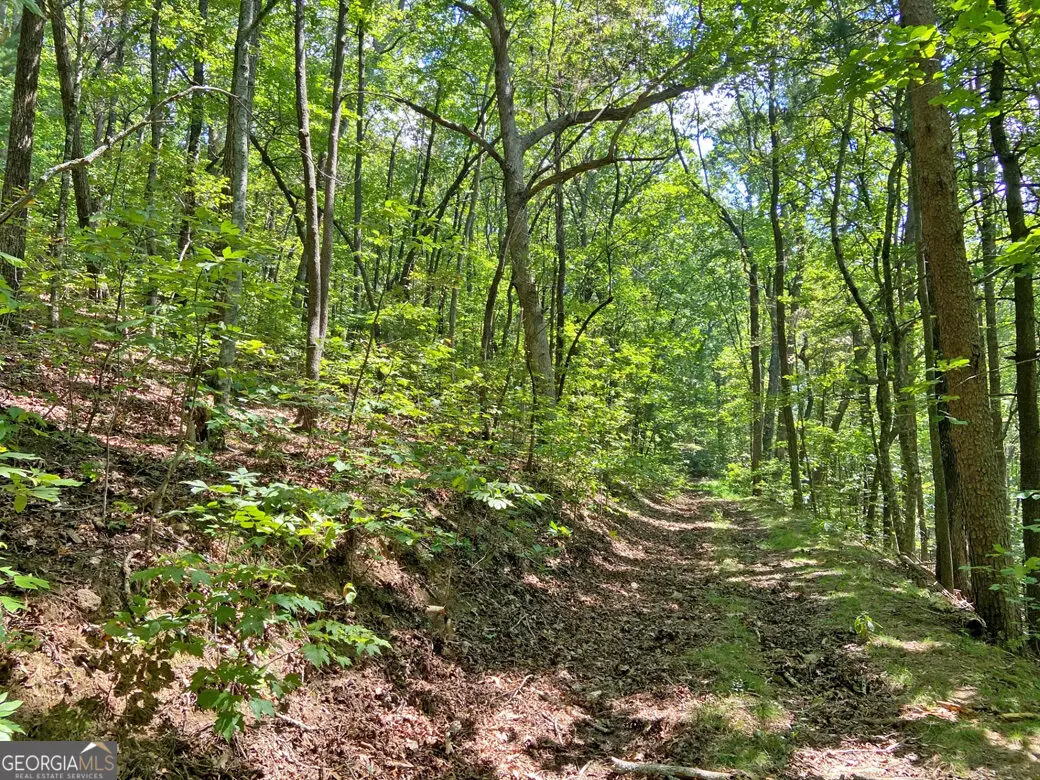 4.8AC Sign Board Gap Road, Dahlonega, GA 30533 - #1
