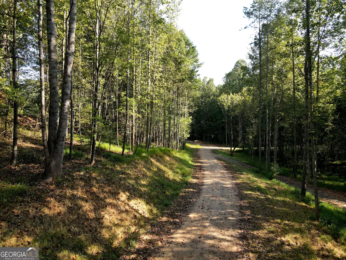 172 Boyd Hollow Drive, Blairsville, GA 30512 - #1