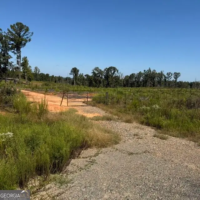76 +/- ACRES ON Gibson Road, Talbotton, GA 31827 - #2