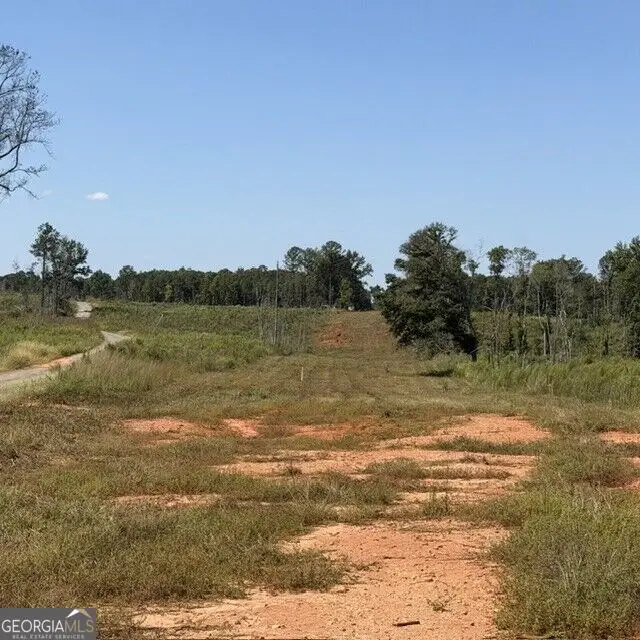 76 +/- ACRES ON Gibson Road, Talbotton, GA 31827 - #3