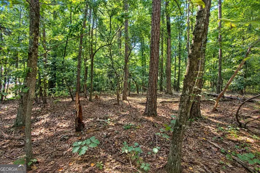 0 Buice Road, Johns Creek, GA 30022 - #2