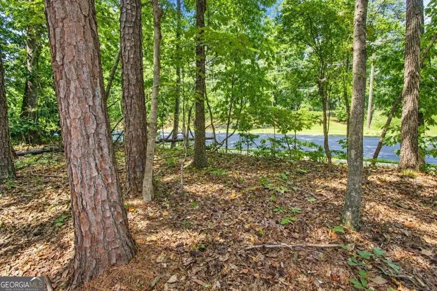 0 Buice Road, Johns Creek, GA 30022 - #3