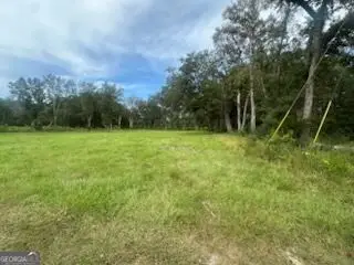 3.86AC Post Road, Waynesville, GA 31566 - #2