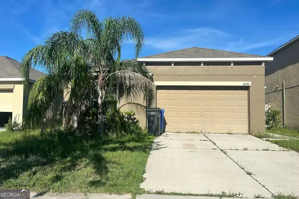 10301 Boggy Moss Drive, Riverview, FL 33578