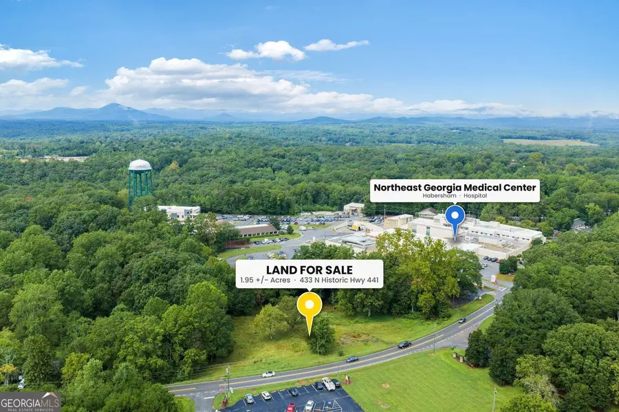 433 N Historic Highway 441, Demorest, GA 30535 - #2