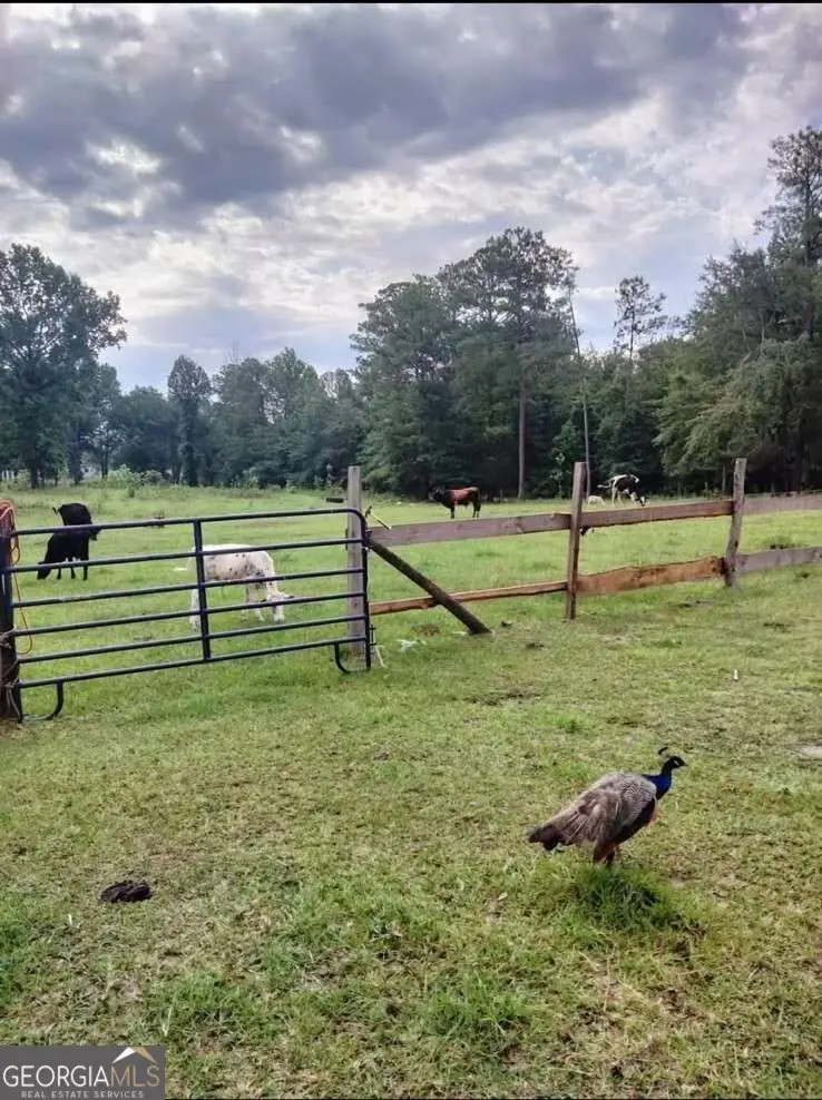 0 Zenith Mill Road, Roberta, GA 31078 - #2