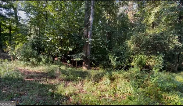0 Hillshore Road #LOT 42,43,44, Lavonia, GA 30553