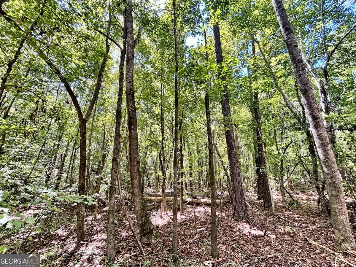 0 Columbus Road, Lizella, GA 31052 - #1