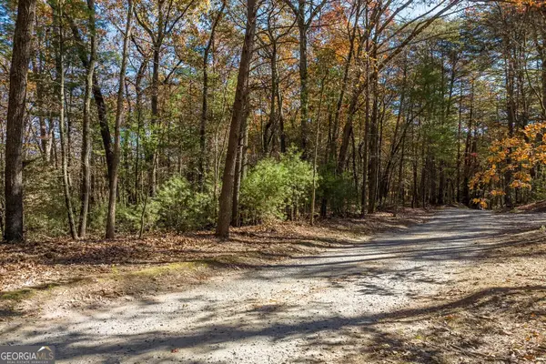 TR 2 Old Anderson Creek, Ellijay, GA 30536