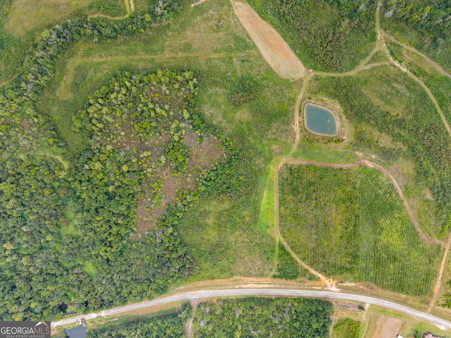 0 G W Oliver Rd #LOT 9, Statesboro, GA 30458 - #3