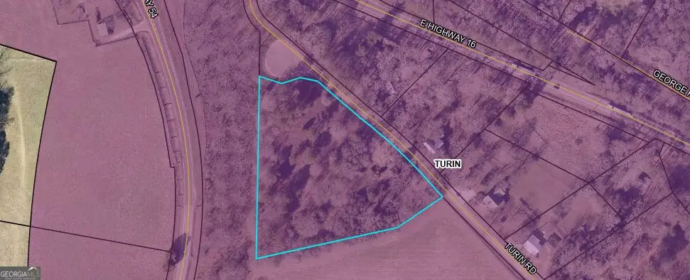 00 Turin Road, Senoia, GA 30276 - #1