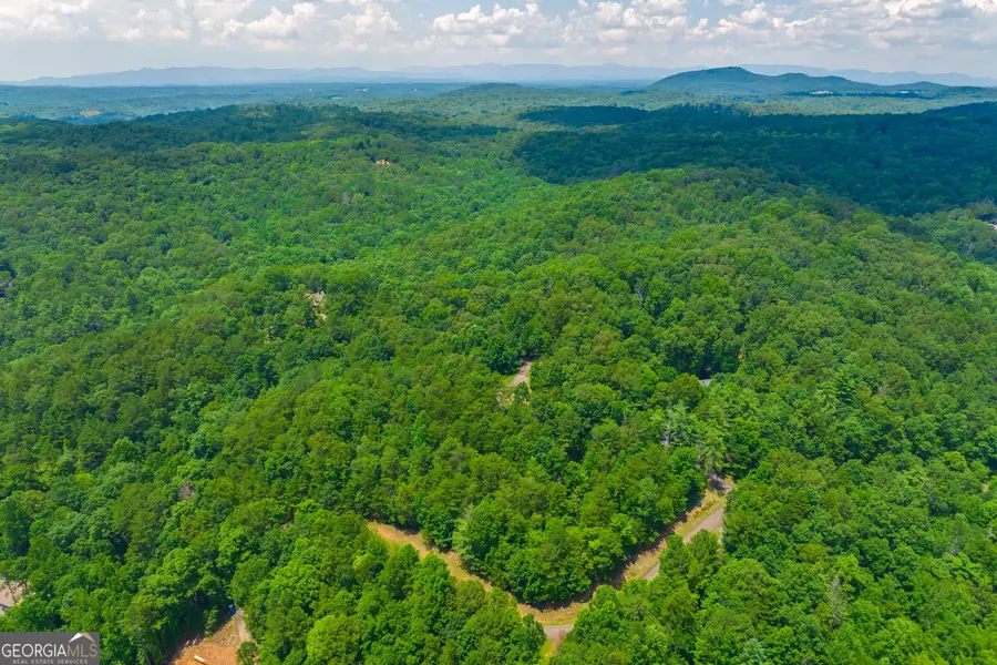 LOT 103R Mountain Creek Hollow Drive, Talking Rock, GA 30175 - #3