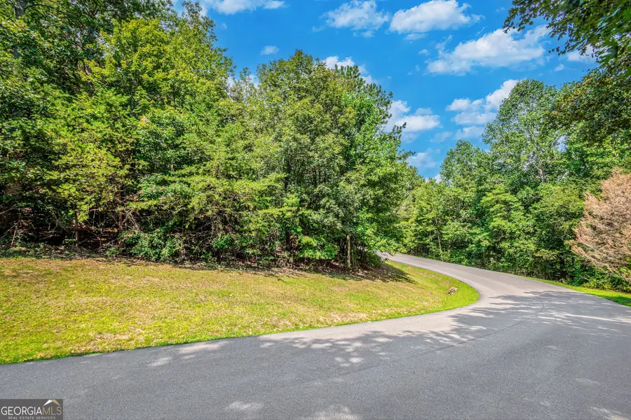 4.7AC Mountain Creek Hollow Drive, Talking Rock, GA 30175 - #3
