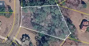 12343 Coldstream Court, Hampton, GA 30228 - #3