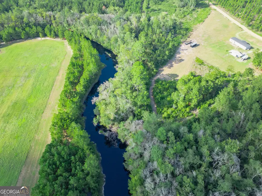 968 Brenda Kaye Yawn Rd, Baxley, GA 31513 - #3