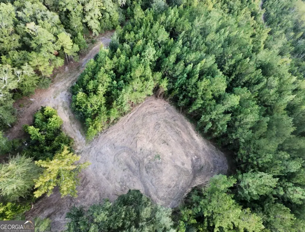 0 Fabled Lane #LOT 5, Pembroke, GA 31321 - #1