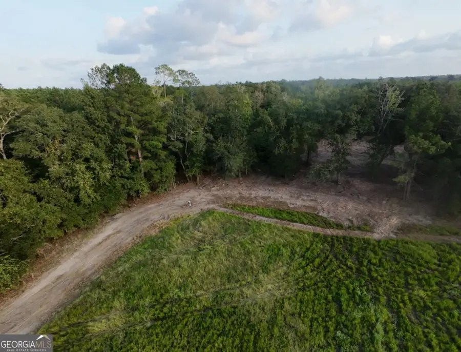 0 Fabled Lane #LOT 5, Pembroke, GA 31321 - #3