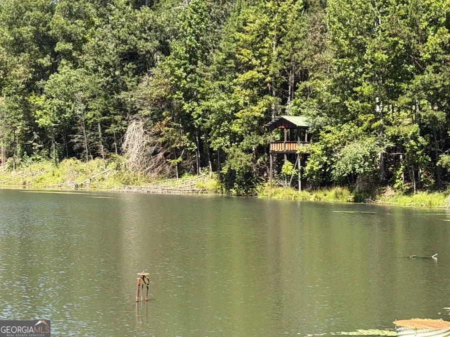 263 Cole Lake Drive, Toccoa, GA 30577 - #2