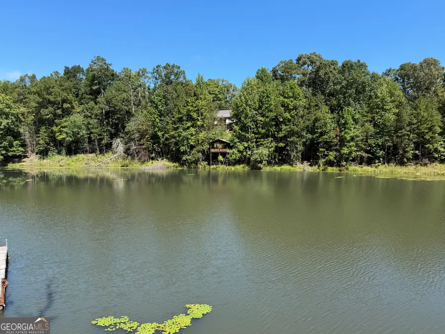 263 Cole Lake Drive, Toccoa, GA 30577 - #3