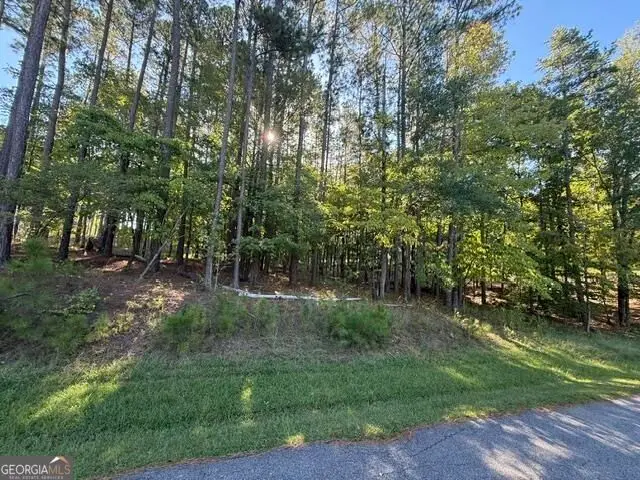 1040 Pinehurst Drive, Greensboro, GA 30642 - #1