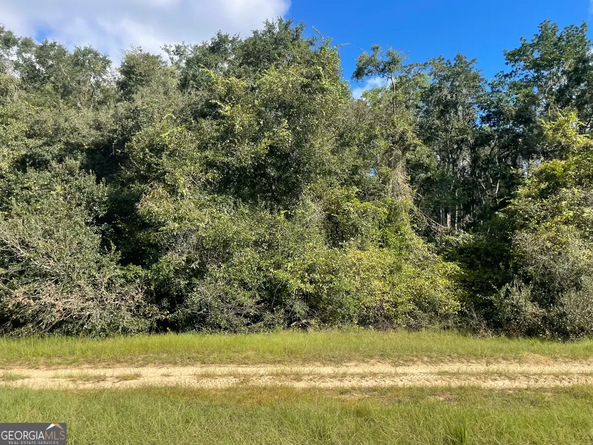 535 Maggies Lake Road Ne, Glennville, GA 30427 - #1