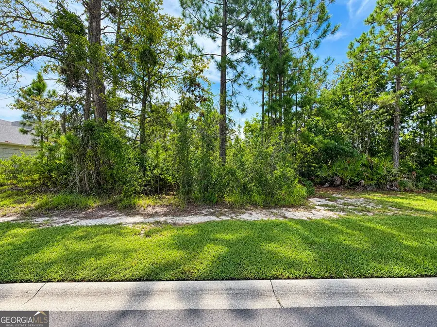 VL/50 Fiddlers Cove Drive, Kingsland, GA 31548 - #3